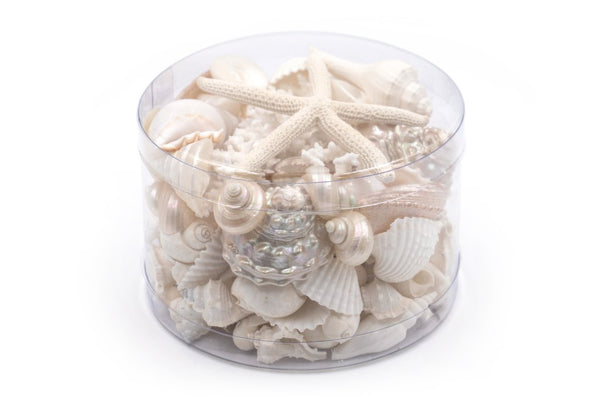Premium Coral and Seashell Pack - Pearl Champagne